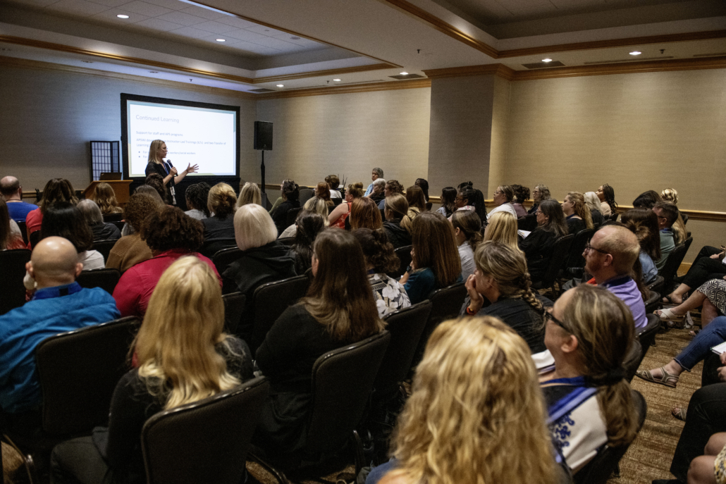 2025 NAPSA Conference - Workshop 2